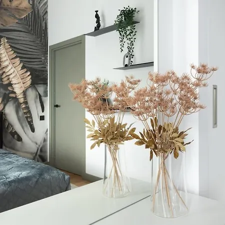 Luxurious Penthouse With Parking Apartament